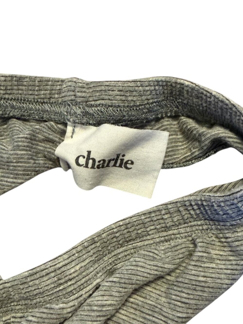 Charlie by MZ BIKINI BRIEF - FEATHERWEIGHT Grey Micro Stripe - Micromodal Large - Picture 5 of 5